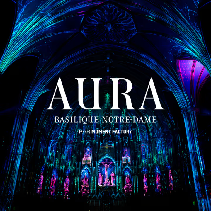 Projet immersif à la Basilique Notre-Dame